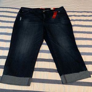 Plus Size Jennifer Lopez Capris